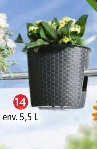 Norma Pot de fleurs offre
