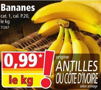 Norma Bananes offre