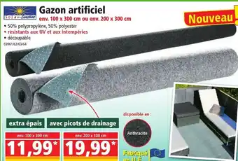 Norma Gazon artificiel offre