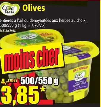 Norma Olives offre