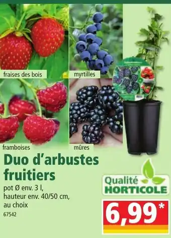 Norma Duo d'arbustes fruitiers offre