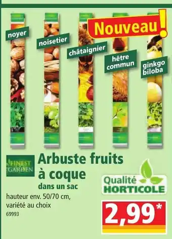 Norma Arbuste fruits à coque offre