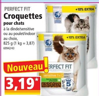 Norma Croquettes offre