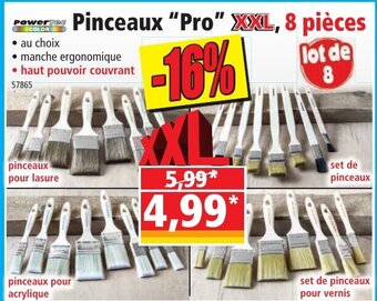 Norma Pinceaux "Pro" offre