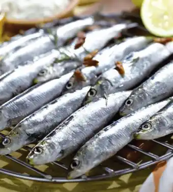 Géant Casino Sardines offre