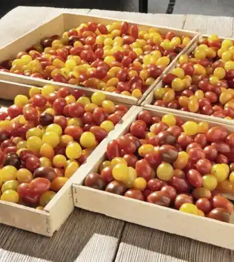 Géant Casino Tomate cerise mélangée 1Kg offre