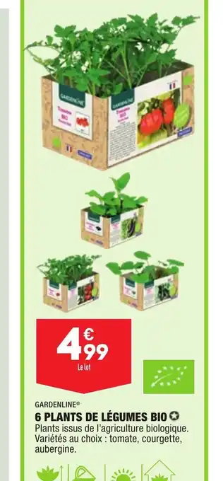 ALDI 6 Plants de Légumes Bio offre
