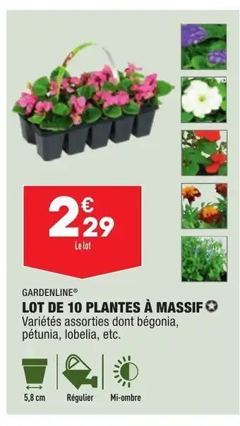 ALDI Lot de 10 Plantes à Massif offre