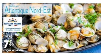 Auchan Coque moyenne offre