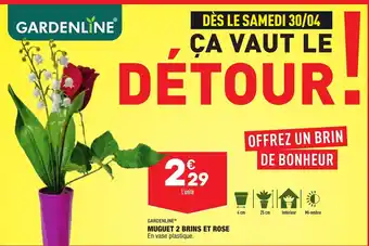 ALDI Muguet 2 Brins Et Rose offre