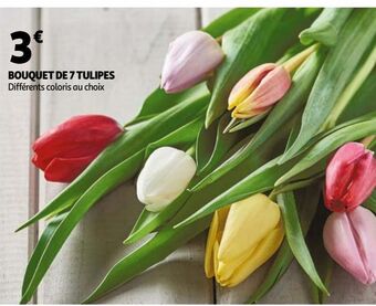Auchan Bouquet de 7 tulipes offre