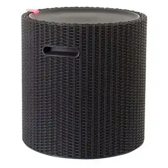 Brico Dépôt Coffre tabouret "Cool Stool" - 39 L offre