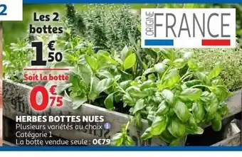 Auchan Herbes bottes nues offre