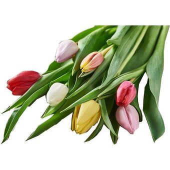 Auchan Supermarché Bouquet de 7 tulipes offre
