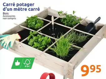 Carré potager d'un mÚtre carré