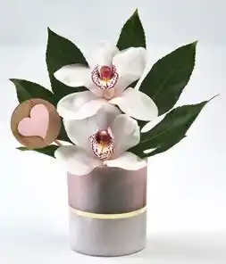 Auchan ORCHIDÉE 2 FLEURONS DANS UN VERRE offre