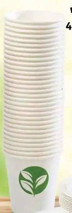 50 gobelets