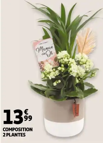 Auchan COMPOSITION 2 PLANTES offre
