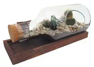 TERRARIUM