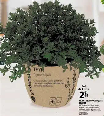 PLANTES AROMATIQUES FILIÈRE
