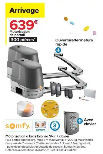 Castorama Somfy motorisation à bras evolvia star + clavier offre
