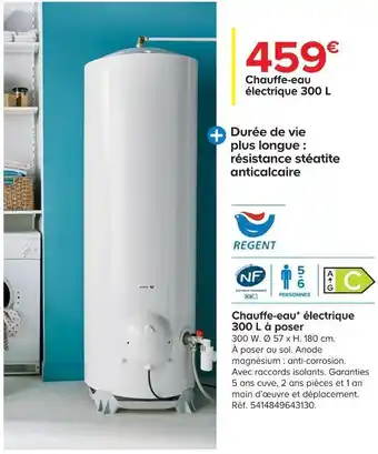 Regent chauffe-eau électrique 300 l à poser