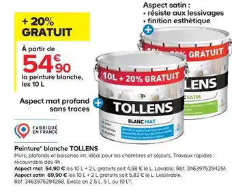 Castorama Tollens peinture blanche offre