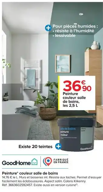 Castorama Goodhome peinture couleur salle de bains offre