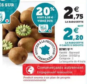 Kiwi u