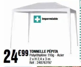 La Foir'Fouille Tonnelle pépita offre
