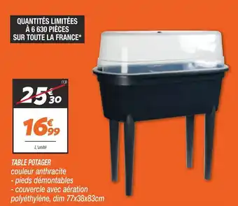 Netto Table potager offre