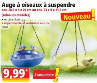 Auge à oiseaux à suspendre