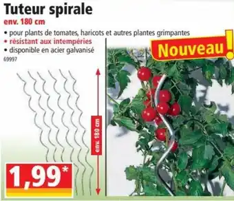 Tuteur spirale