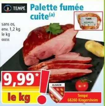 Norma Palette fumée cuite offre