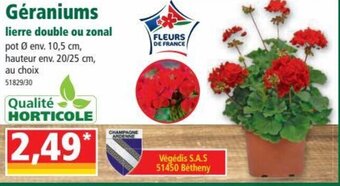 Norma Géraniums offre