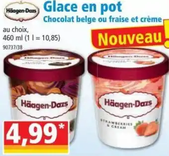 Norma Glace ne pot offre