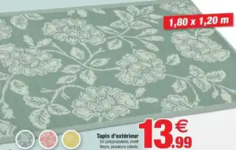 Bazarland Tapis d'exterieur offre