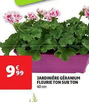 Auchan Direct Jardinière Géranium Fleurie Ton Sur Ton offre