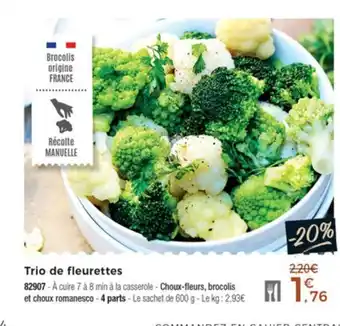 Thiriet Trio De Fleurettes offre