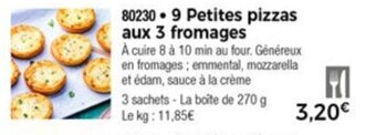 Thiriet 9 Petites pizzas aux 3 fromages offre