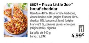 Thiriet Pizza little joe offre
