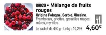 Thiriet Mélange de fruits rouges offre