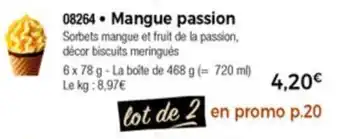 Mangue passion