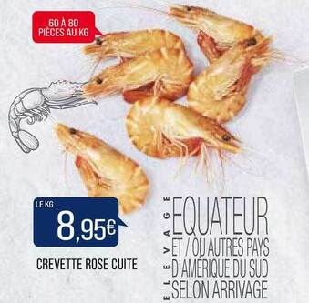 Match Crevette Rose Cuite offre