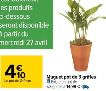 Carrefour Muguet pot de 3 griffes offre