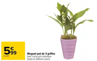 Carrefour Muguet pot de 3 griffes offre