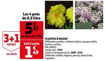 Auchan Plantes à massif offre