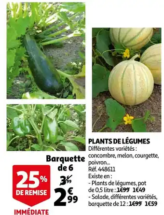 Auchan Plants de légumes offre