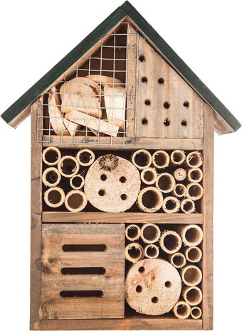 Match Maison à insectes offre