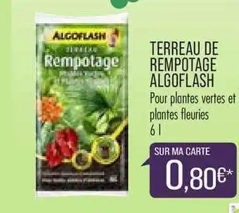 Match Terreau De Rempotage Algoflash offre